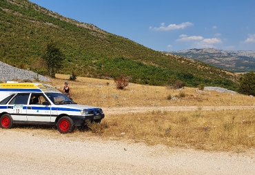 Polonez